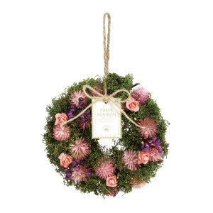 [X hCt[ AW Ƃ悹i hC؂̎̃i`[X17cm tHXgsN փ[X CeAG hCt[ Mtg v[g Ԏ