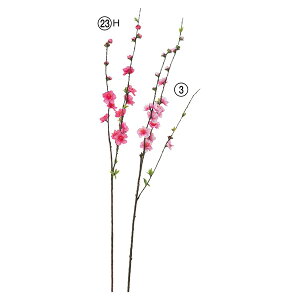  Ƃ悹i Xv[ ̉ ̉ a CeA CeAt[ tFCNt[ VNt[ CeAO[ ԍ Ԏ AXJ ASCA AXJ