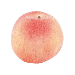 tFCNt[c   Ƃ悹i s[` CeA C~e[V ԍ Ԏ f ޗ p[c    i` t  H AXJ ASCA AXJ