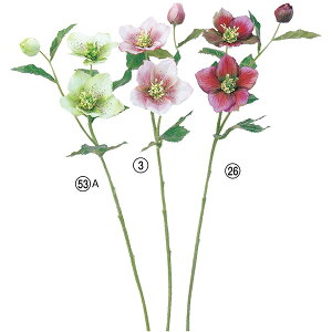 yP10{ 12/31܂ŁIz  Ƃ悹i NX}X[Y×2 ڂ×1 A[eBtBVt[ w{X jQ CeA CeAt[ tFCNt[ AXJ ASCA AXJ