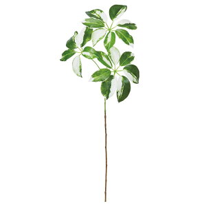 yP10{ 12/31܂ŁIz tFCNO[ ϗtA Ƃ悹i VFt  O[ t t 썑 CeA  lHϗt CeAt[ VNt[ AXJ ASCA AXJ