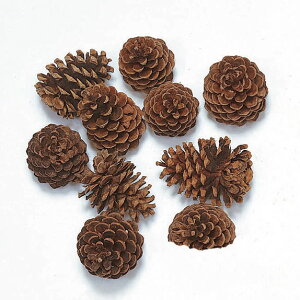 hCt[ ԍ Ƃ悹i }bNR[ ؂̎ t[c ʎ ibc hC Rf hCt[ i`hCt[ CeA v vU  n_