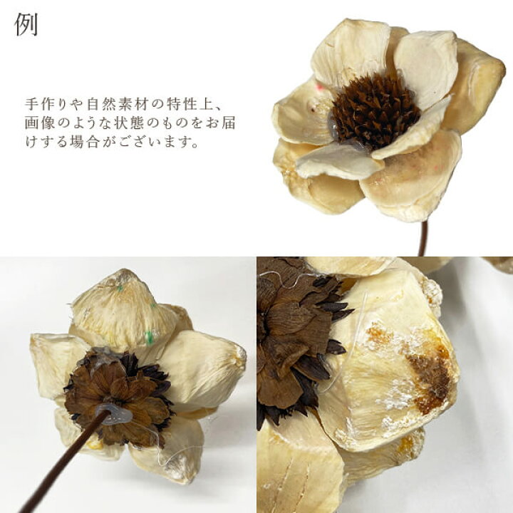 楽天市場 ハンドメイドフラワー 花材 とりよせ品 大地農園 パインフラワー 白ドライ 自然素材 ドライフラワー ハンドメイドフラワー ナチュラル ドライフラワー インテリア インテリアフラワー プリ プリザ パーツ 造花ドライフラワー専門問屋花びし 楽天市場 ハンドメイドフラワー 花材 とりよせ品 大地農園 パインフラワー 白ドライ 自然素材 ドライフラワー ハンドメイドフラワー ナチュラル ドライフラワー インテリア インテリアフラワー プリ プリザ パーツ 造花ドライフラワー専門問屋花びし