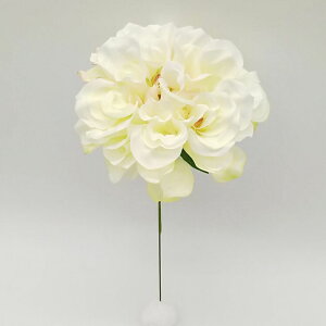 yP10{ z  Ƃ悹i _AsbN N[ VO Ă񂶂ڂ eWN{^ CeA CeAt[ tFCNt[ VNt[ CeAO[ p