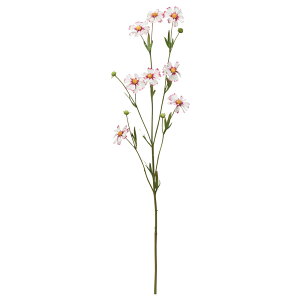 yP10{ z  Ƃ悹i RXX×8 ڂ×4 H A[eBtBVt[ CeA CeAt[ tFCNt[ VNt[ ԍ ~ AXJ ASCA AXJ