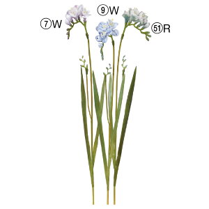 yP10{ 12/31܂ŁIz  Ƃ悹i t[WA sN p[v  ނ炳 u[  O[ ݂ǂ ^[RCY  zCg Of[V Of[VJ[ AXJ ASCA AXJ