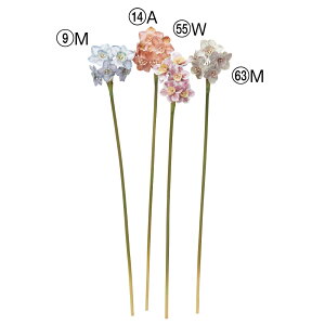 yP10{ 12/31܂ŁIz  Ƃ悹i XCZ×5 u[  sN IW O[ OC CeA CeAt[ tFCNt[ VNt[ ԍ f AXJ ASCA AXJ