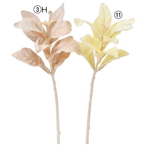  O[ Ƃ悹i YC[ CeA tFCN O[ p[c CeAt[ tFCNt[ VNt[ A[gt[ AXJ ASCA AXJ