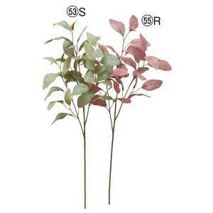  O[ Ƃ悹i [J CeA tFCN O[ p[c CeAt[ tFCNt[ VNt[ CeAO[ AXJ ASCA AXJ