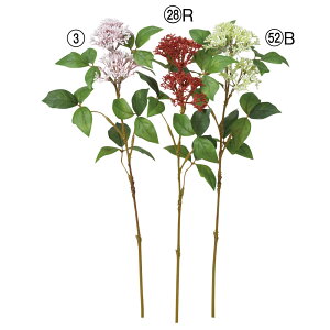 yP10{ 12/31܂ŁIz  Ƃ悹i VL~A CeA CeAt[ tFCNt[ VNt[ CeAO[ tFCNO[ A[gt[ AXJ ASCA AXJ