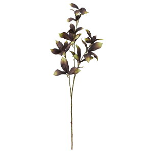 yP10{ 12/31܂ŁIz  O[ Ƃ悹i [tXv[ CeA tFCN O[ p[c CeAt[ tFCNt[ VNt[ ԍ Ԏ AXJ ASCA AXJ