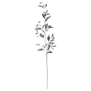 yP10{ 12/31܂ŁIz  O[ Ƃ悹i [tXv[ CeA tFCN O[ p[c CeAt[ tFCNt[ VNt[ ԍ Ԏ AXJ ASCA AXJ