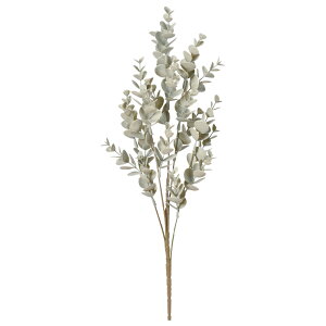  O[ Ƃ悹i [JXv[ CeA tFCN O[ p[c CeAt[ tFCNt[ VNt[ ԍ f AXJ ASCA AXJ