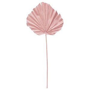 yP10{ 12/31܂ŁIz  O[ Ƃ悹i p[[t CeA tFCN O[ p[c CeAt[ tFCNt[ VNt[ A[gt[ AXJ ASCA AXJ