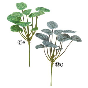  O[ Ƃ悹i [tsbN CeA tFCN O[ p[c CeAt[ tFCNt[ VNt[ A[gt[ AXJ ASCA AXJ