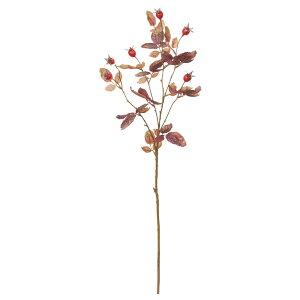 yP10{ 12/31܂ŁIz  O[  Ƃ悹i [Yqbv CeA tFCN O[ p[c AWg CeAt[ tFCNt[ ԍ Ԏ AXJ ASCA AXJ