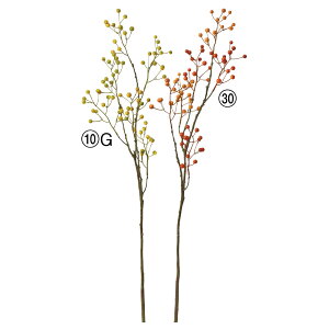  O[  Ƃ悹i x[Xv[ CeA tFCN O[ p[c AWg CeAt[ tFCNt[ ԍ f AXJ ASCA AXJ