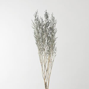 yP10{ 12/31܂ŁIz hCt[ ԍ Ƃ悹i JXsA OC O[ XbO  ԍ p[c ޗ ԑ u[P  fBXvC ݃J[ f AXJ ASCA AXJ