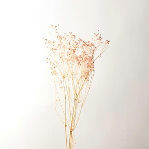 yP10{ z hCt[ ԍ Ƃ悹i JX~\E sN  JX~ ݑ JX~ hCt[ XbO u[P hCt[ԑ [X AXJ ASCA AXJ