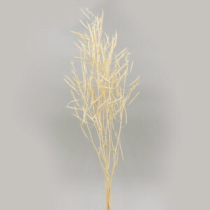 hCt[ ԍ o Lm[ (݌Ɍ) TV ԍ f ޗ ؂̉ ؎ Aui  zCg hCt[ԑ [X AW  RAg[fBO