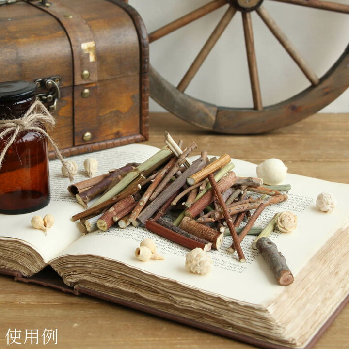 楽天市場 ドライフラワー 花材 即日出荷 Coretrading ロストステム チップミックス ナチュラル サラシミックス枝 小枝 クラフト 撮影 背景 撮影小物 ブラウン 茶色 花材 スワッグ 材料 リース ブーケ 手作り ハンドメイド ドライフラワー 造花ドライフラワー