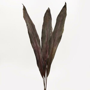 yP10{ z hCt[ ԍ o ubN[t i` ԍ XbO ޗ[t p[c u[P ԑ CeA fBXvC t  VbN  a RAg[fBO