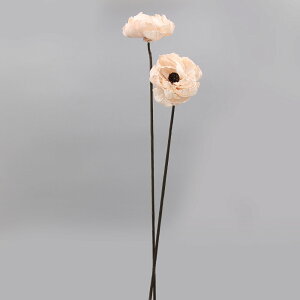 ハンドメイドフラワー 花材 即日出荷 ソーラーシャクヤク シルキーピンク ドライフラワー ソーラー ハンドメイドフラワー 芍薬 花 花材 ピンク ピオニー 素材 材料 大地農園