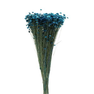 yP10{ z hCt[ ԍ o X^[t[E~j u[  XbO u[P hCt[ԑ hCt[XbO [X AW ԍ f ޗ  f