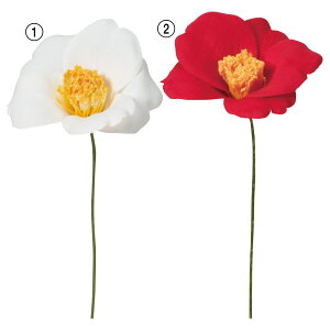   Ƃ悹i փsbN(13{) a coL JA CeA CeAt[ tFCNt[ VNt[ CeAO[ AXJ ASCA AXJ