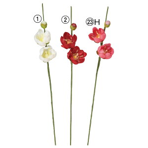 yP10{ }\z   Ƃ悹i ~sbN(16{) a ~ Japanese A[eBtBVt[ apricot v CeA CeAt[ ԍ Ԏ AXJ ASCA AXJ