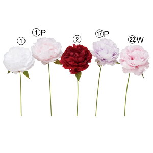 yP10{ z   Ƃ悹i sIj[sbN {^ O VNN 䉖 CeA CeAt[ tFCNt[ VNt[ ԍ Ԏ AXJ ASCA AXJ