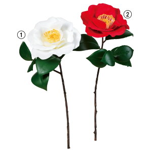 yP10{ 12/31܂ŁIz   Ƃ悹i  a coL JA CeA CeAt[ tFCNt[ VNt[ CeAO[ A[gt[ AXJ ASCA AXJ