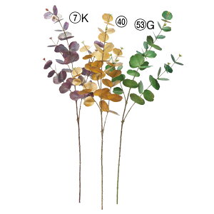 yP10{ 12/31܂ŁIz  O[ Ƃ悹i ^bN[J CeA tFCN O[ p[c CeAt[ tFCNt[ VNt[ ԍ t AXJ ASCA AXJ