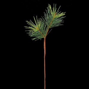  O[ Ƃ悹i pCsbN(16{) a  pC CeA tFCN O[ p[c CeAt[ tFCNt[ ԍ AXJ ASCA AXJ