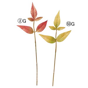 yP10{ 12/31܂ŁIz  O[ Ƃ悹i [tsbN(16{) CeA tFCN O[ p[c CeAt[ tFCNt[ VNt[ ԍ AXJ ASCA AXJ