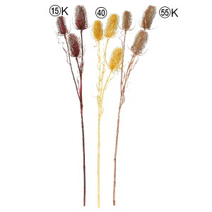 yP10{ 12/31܂ŁIz NX}X  Ƃ悹i `[[ CeA CeAt[ tFCNt[ VNt[ CeAO[ tFCNO[ ԍ AXJ ASCA AXJ