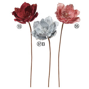 yP10{ z NX}X  Ƃ悹i }OmA  I[ig t[ NX}X NX}X[X CeA G fBXvC fR[V  AXJ ASCA AXJ