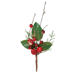 yP10{ z NX}X  Ƃ悹i ~bNXsbN sbN  ݂̖ t I[ig NX}X NX}X[X CeA G fBXvC AXJ ASCA AXJ