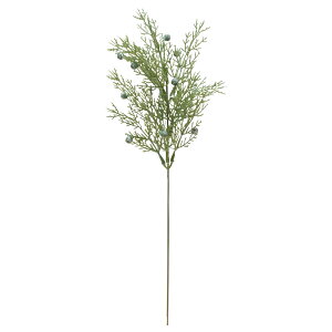 yP10{ 12/31܂ŁIz  O[ Ƃ悹i V[_[sbN CeA tFCN O[ p[c CeAt[ tFCNt[ VNt[ ԍ Ԏ AXJ ASCA AXJ