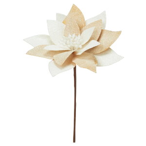 NX}X  Ƃ悹i |CZ`A |CZ`A  I[ig NX}X ԍ f AW AWޗ CeA G p[c  AXJ ASCA AXJ