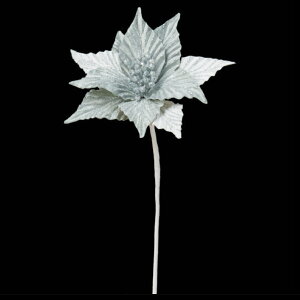 NX}X  Ƃ悹i |CZ`A |CZ`A  I[ig NX}X ԍ f AW AWޗ CeA G p[c  AXJ ASCA AXJ