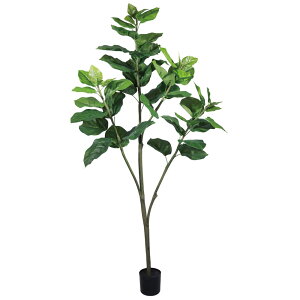 yP10{ z tFCNO[ ϗtA Ƃ悹i Ex[^|bg150cm ϗtA 1.5m  t@CJX lHϗt CeA CeAt[ tFCNt[ t roH|