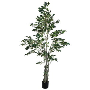 yP10{ z tFCNO[ ϗtA Ƃ悹i NVbNtBJX180cm ϗtA 1.8m  t@CJX lHϗt CeA CeAt[ tFCNt[ t roH|