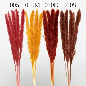 hCt[ ԍ Ƃ悹i e[[h ԍ f ޗ HF F IW C ӂӂ ppXn XbO u[P hCt[ԑ AXJ ASCA AXJ