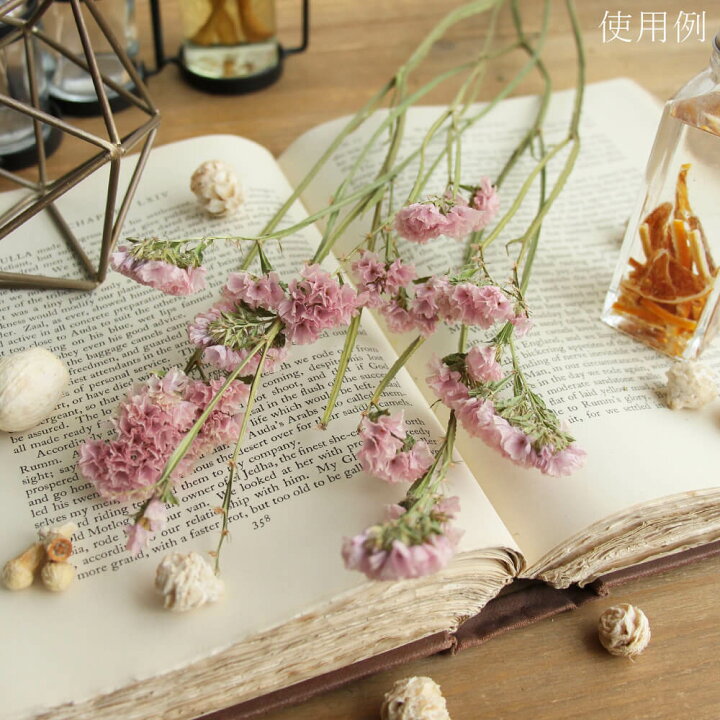 楽天市場 ドライフラワー 花材 即日出荷 Coretrading スターチス N ビンテージアッシュ花材 材料 モーヴ モーブ ピンク くすみカラー インテリア スワッグ ブーケ ドライフラワー花束 花束 ナチュラル ミックスブーケ リース アレンジ 造花ドライフラワー専門 楽天市場 ドライフラワー 花材 即日出荷 Coretrading スターチス N ビンテージアッシュ花材 材料 モーヴ モーブ ピンク くすみカラー インテリア スワッグ ブーケ ドライフラワー花束 花束 ナチュラル ミックスブーケ リース アレンジ 造花ドライフラワー専門