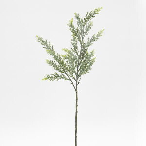 NX}X  O[ Ƃ悹i tbNpCXv[ [t z[[ t  I[ig NX}X NX}X[X CeA G fBXvC ޗ