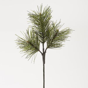 yP10{ 12/31܂ŁIz  O[ Ƃ悹i ×3 a  pC CeA tFCN O[ p[c CeAt[ tFCNt[ VNt[ CeAO[ ԍ 