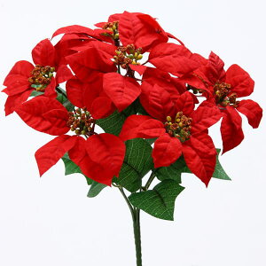 NX}X  Ƃ悹i |CZ`AubV×7 |CZ`A  I[ig NX}X ԍ f AW AWޗ CeA G fBXvC p[c