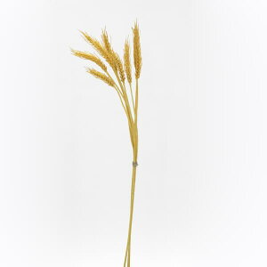 tFCNt[h Ƃ悹i ̕(3{/) tFCNt[h tFCNt[c CeA C~e[V ԍ Ԏ f ޗ p[c    i` t 