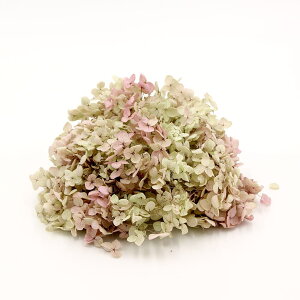 yP10{ 12/31܂ŁIz vU[uht[ ԍ o AixEwbh IKmsN hCt[ ԍ f ޗ p[c AWTC  z O[ sN XbO 